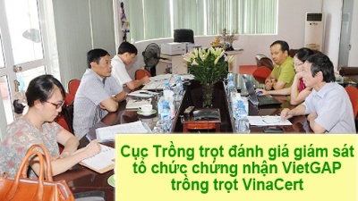 Cục Trồng trọt đánh giá giám sát tổ chức chứng nhận VietGAP trồng trọt VinaCert 