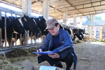 VinaCert đánh giá chứng nhận VietGAHP trong chăn nuôi bò sữa tại Công ty Cổ phần Giống Bò sữa Mộc Châu