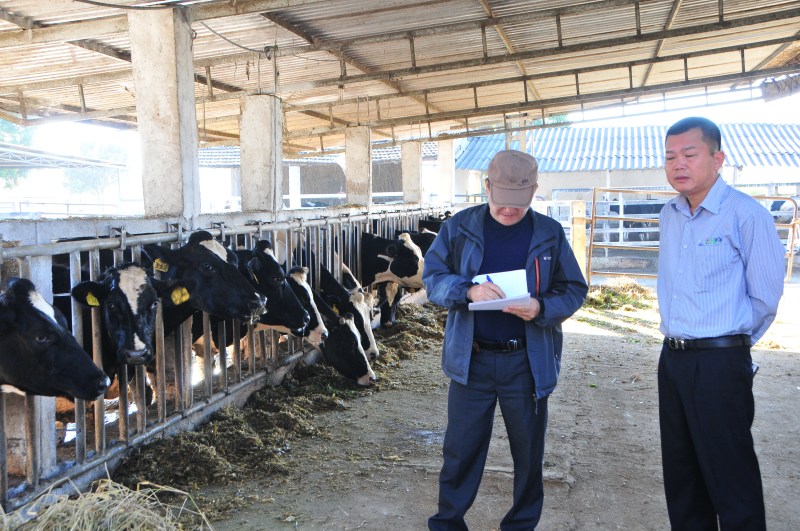 VinaCert đánh giá chứng nhận VietGAHP trong chăn nuôi bò sữa tại Công ty Cổ phần Giống Bò sữa Mộc Châu