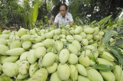 Tặng thưởng bằng khen cho tập thể cá nhân có thành tích xuất sắc trong áp dụng "VietGAP trồng trọt"