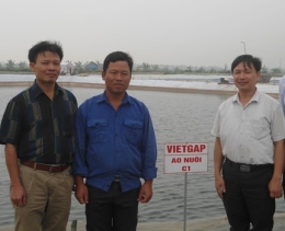 VinaCert trao chứng nhận VietGAP về nuôi tôm thẻ chân trắng cho Doanh nghiệp tư nhân Tân Vân