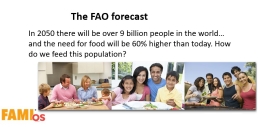 FAMI-QS: Đảm bảo an toàn nguồn cung cấp nguyên liệu, phụ gia thức ăn chăn nuôi