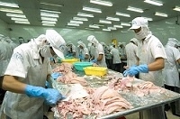 HACCP và quản lý chất lượng thủy sản