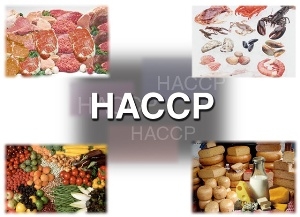 HACCP – chuẩn mực vệ sinh an toàn thực phẩm trên toàn thế giới