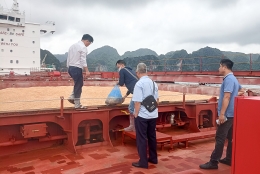 Hội đồng Chứng nhận của VinaCert đánh giá witness hoạt động đánh giá hiện trường, lấy mẫu chứng nhận sản phẩm theo phương thức 7