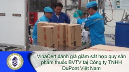 VinaCert đánh giá giám sát hợp quy sản phẩm thuốc BVTV tại Công ty TNHH DuPont Việt Nam