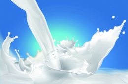 [Infographic] Sữa và sản phẩm từ sữa cần phải thử nghiệm những chỉ tiêu nào?