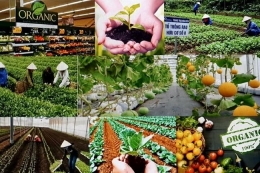 Các Tiêu chuẩn quốc gia, tiêu chuẩn hữu cơ mới được công bố trong lĩnh vực Nông nghiệp - thực phẩm