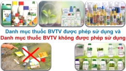 Ban hành Danh mục thuốc BVTV được phép và cấm sử dụng tại Việt Nam