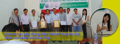 VinaCert trao giấy chứng nhận VietGAP thủy sản cho 19 hộ nuôi cá tra tỉnh Đồng Tháp