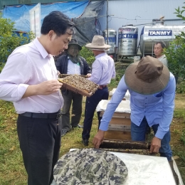 VinaCert đánh giá VietGAHP ong tại cơ sở nuôi ong Đoàn Đình Khính
